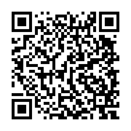 QR code for VLT497