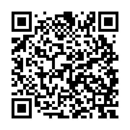 QR code for VLV383