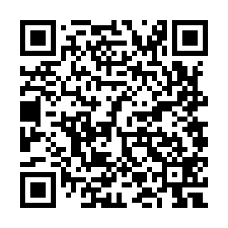 QR code for VMV919