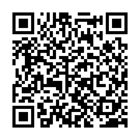 QR code for VNE328