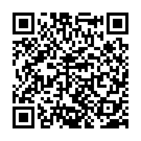QR code for VNF379