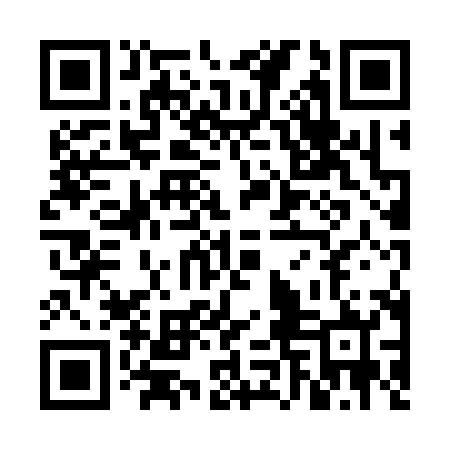 QR code for VNL382