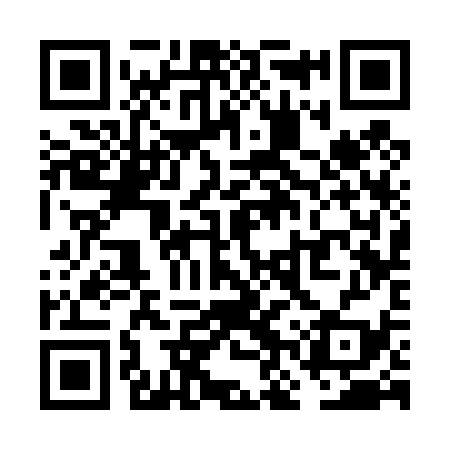 QR code for VNS439