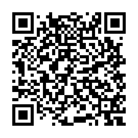 QR code for VPG110