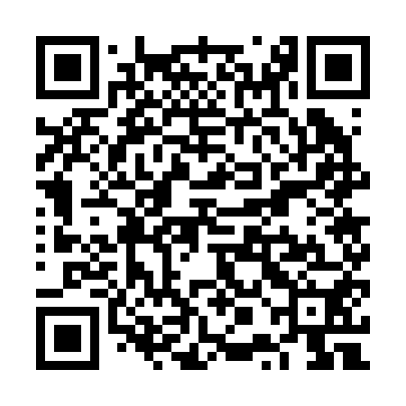 QR code for VPG250