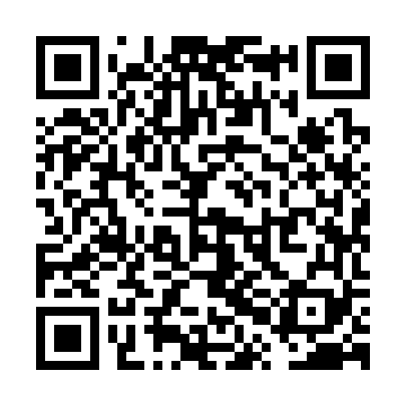 QR code for VPI369