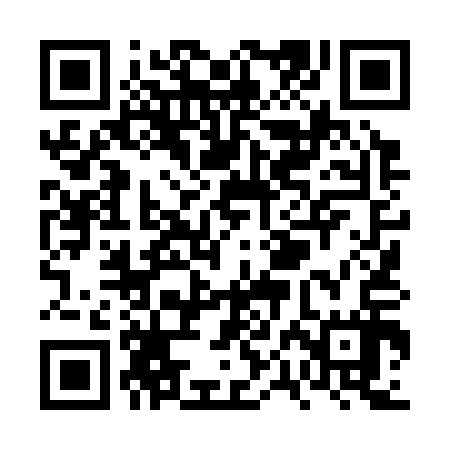 QR code for VPL317