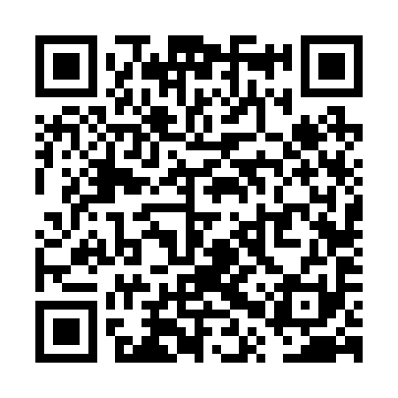 QR code for VPV291