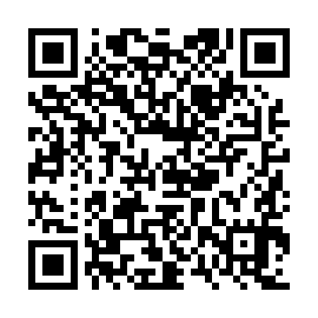 QR code for VPZ095