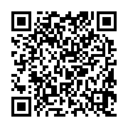QR code for VQE387