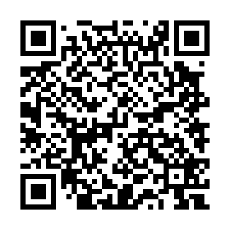 QR code for VQN029
