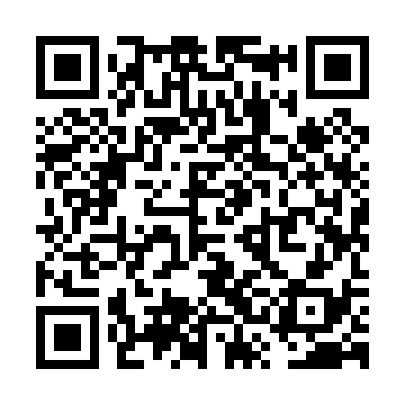 QR code for VSI038