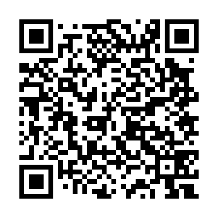 QR code for VSJ079