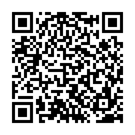 QR code for VSM336