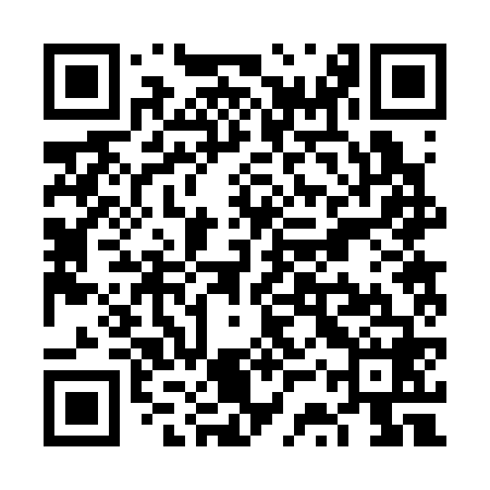 QR code for VSR368