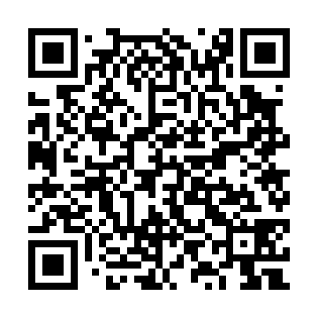 QR code for VYG038