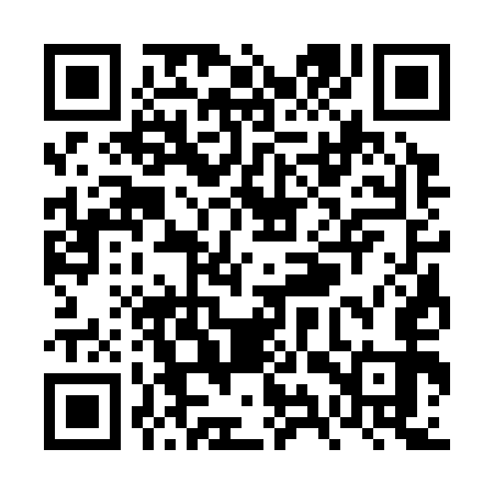 QR code for VYS353