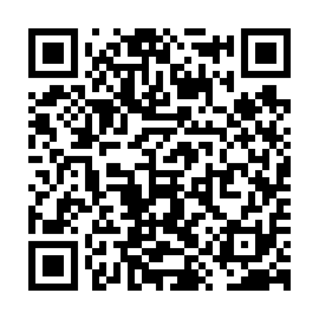 QR code for VYS611