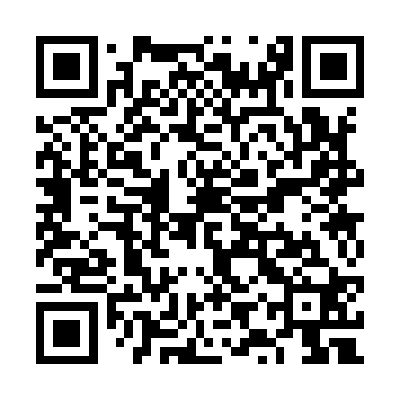 QR code for VYS920