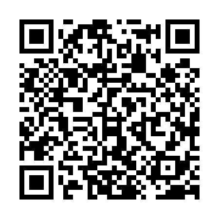 QR code for VYX538