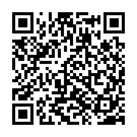 QR code for VZI370