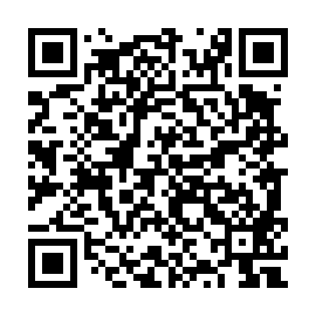 QR code for VZL489