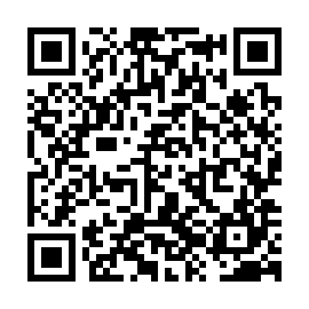 QR code for VZO384