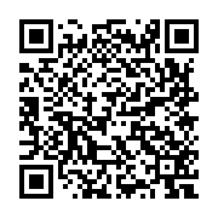 QR code for VZQ953