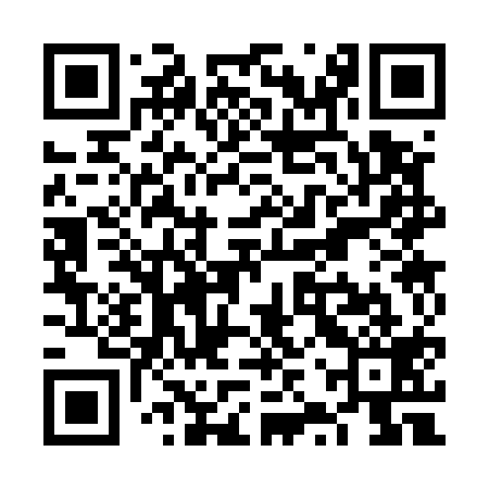 QR code for VZS519