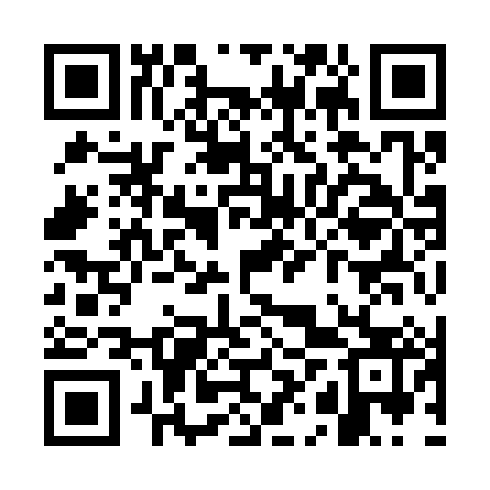 QR code for WHY383