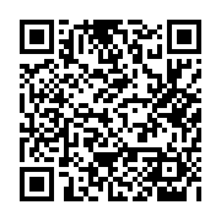 QR code for WIP521