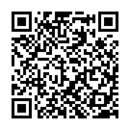 QR code for WIR919