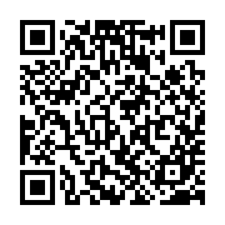 QR code for WNS387