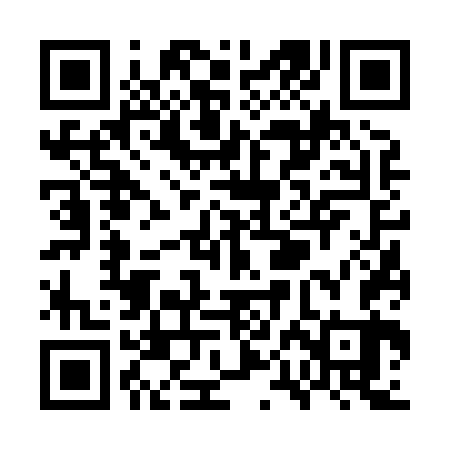 QR code for WPF863