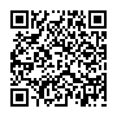 QR code for WPT313
