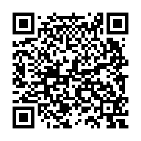 QR code for WQL613