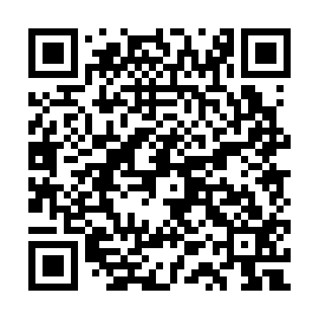 QR code for WQP313