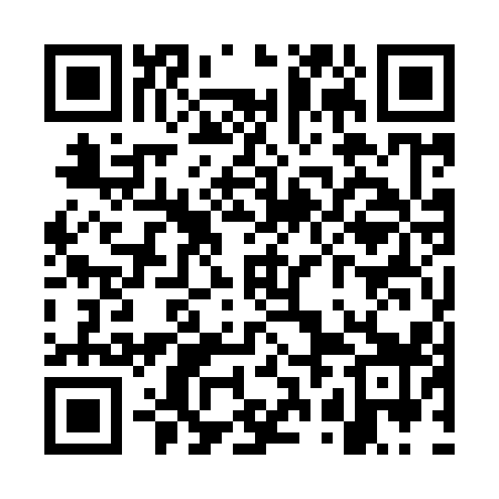 QR code for WRO919