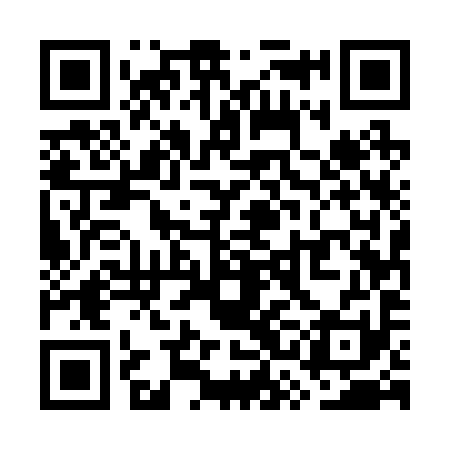 QR code for WSE291