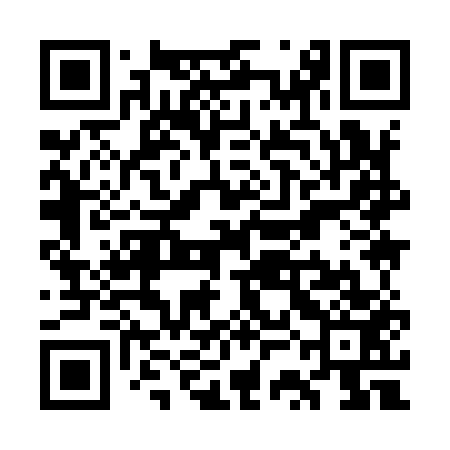 QR code for WSI953