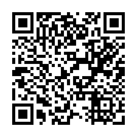 QR code for WSS333