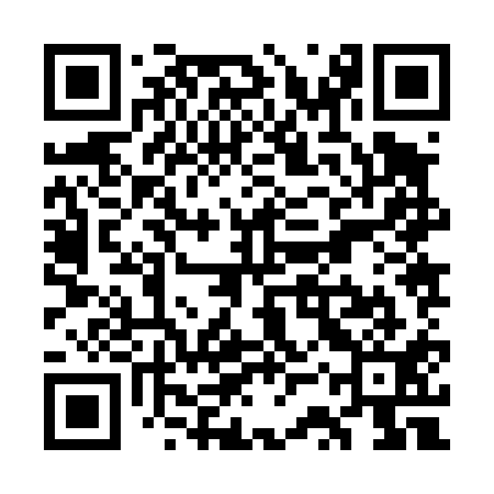 QR code for WSZ411