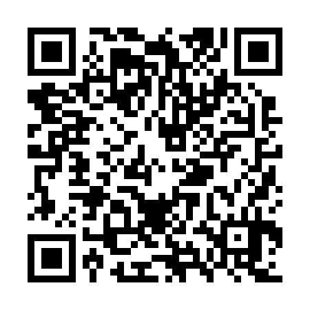 QR code for WYJ234