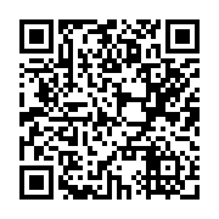 QR code for WYX954