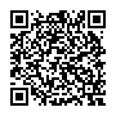 QR code for WZA295