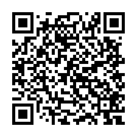 QR code for WZG509