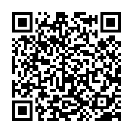 QR code for WZT438