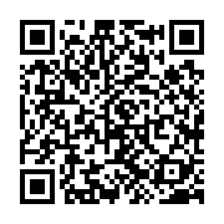 QR code for WZX729