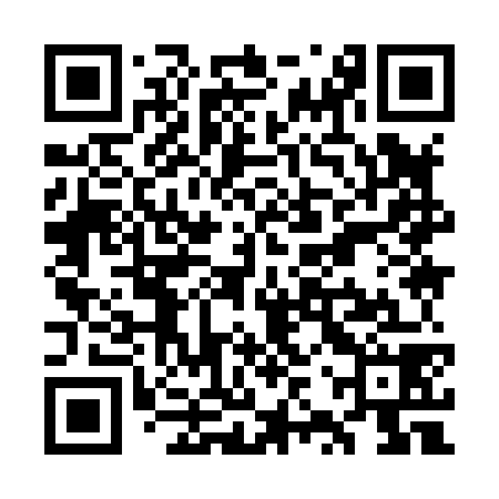 QR code for WZY878