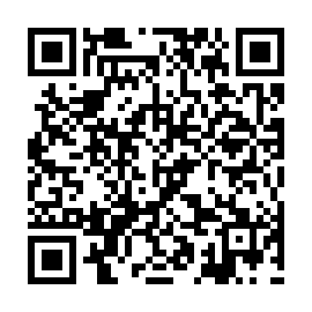 QR code for XAM381